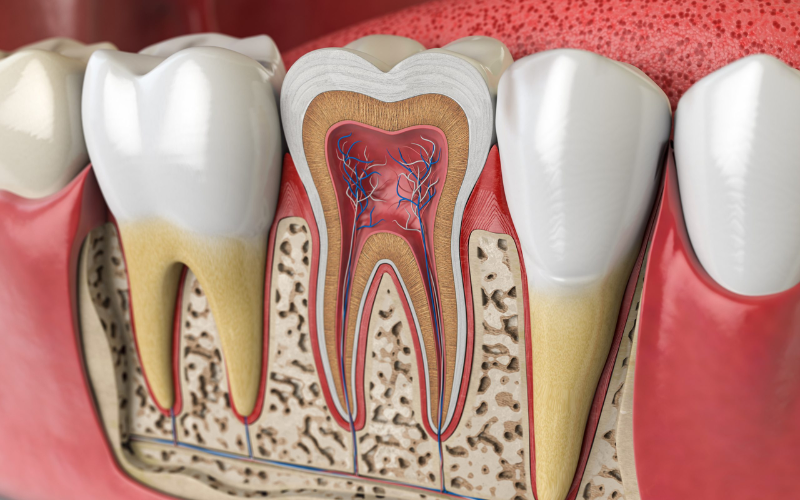 How To Care For Your Teeth After Root Canal